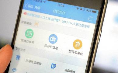 “互联网+政务”满足多维度需求，服务群众跑出浙江新速度